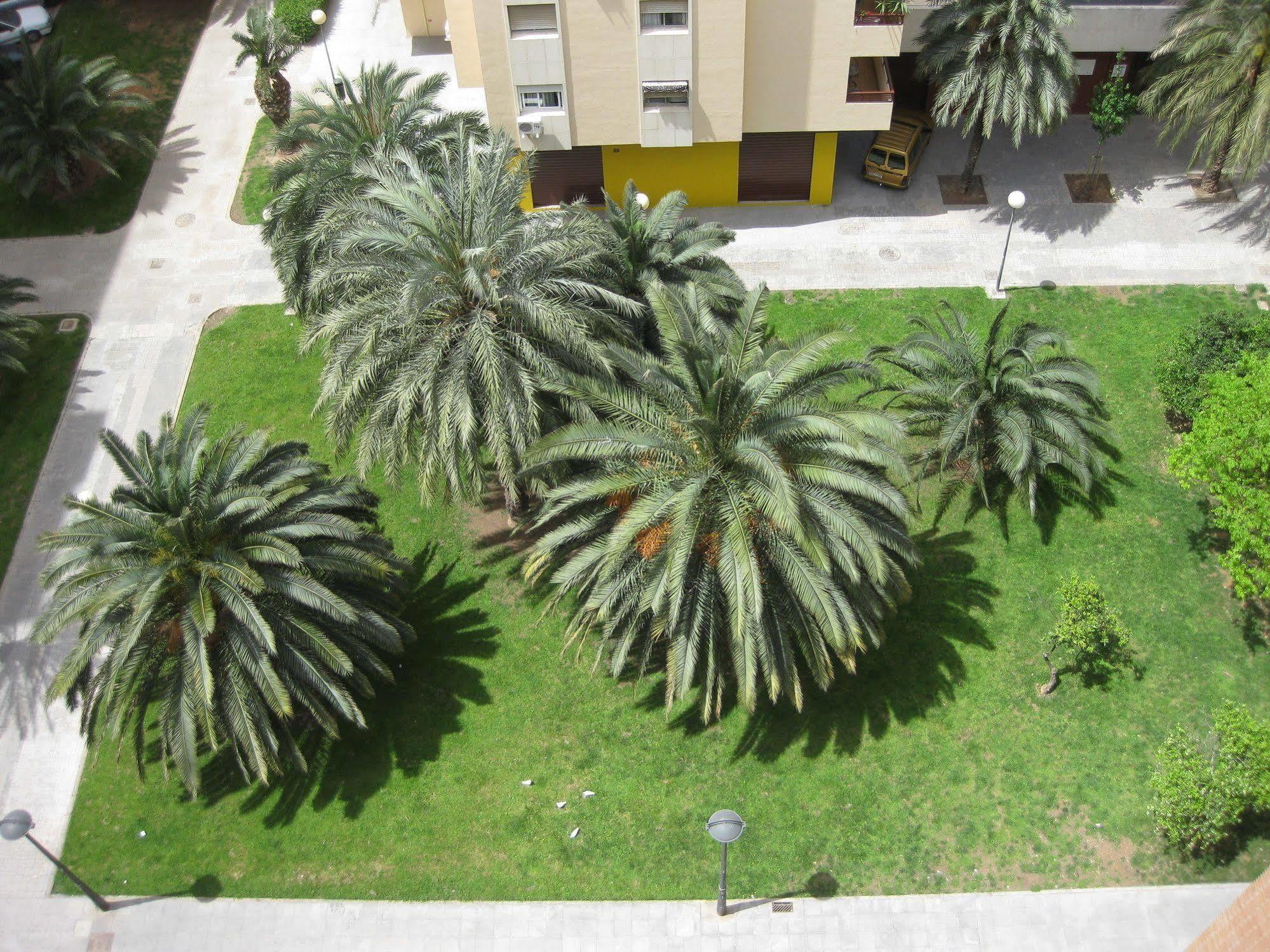 Apartamentos Plaza Picasso Βαλένθια Εξωτερικό φωτογραφία